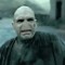 :voldy: